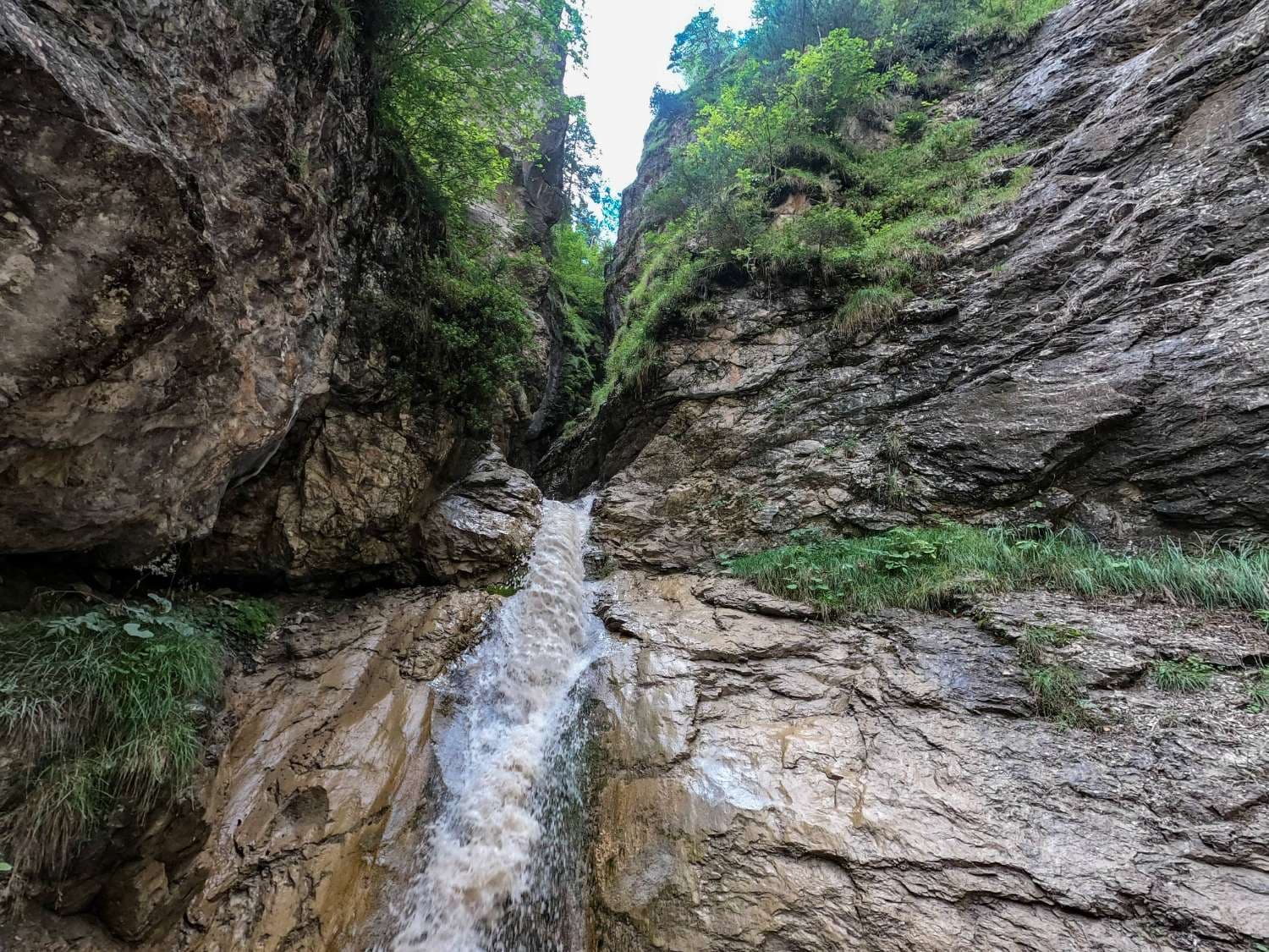 Rosengartenschlucht Auerwald
