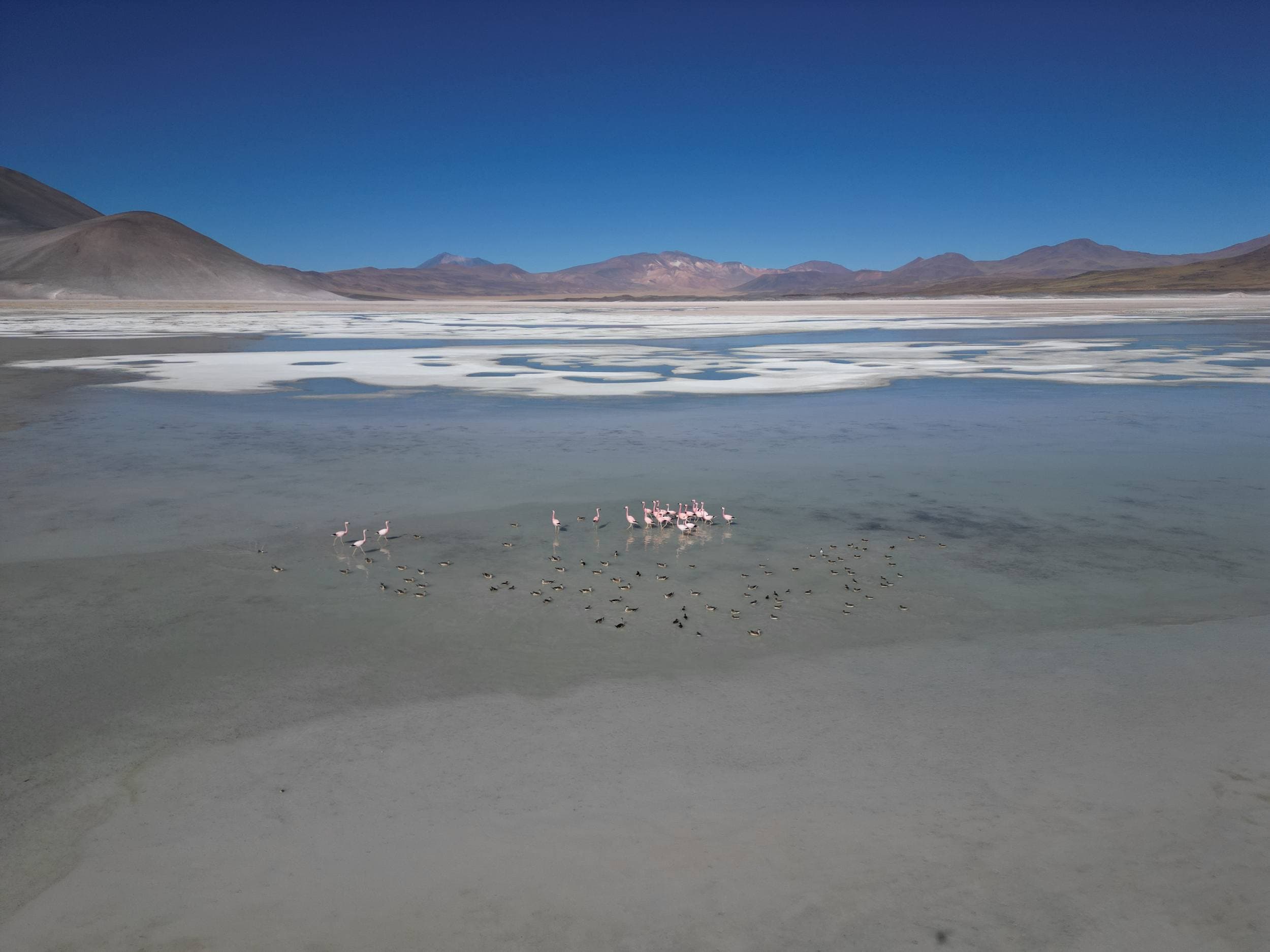 Atacama