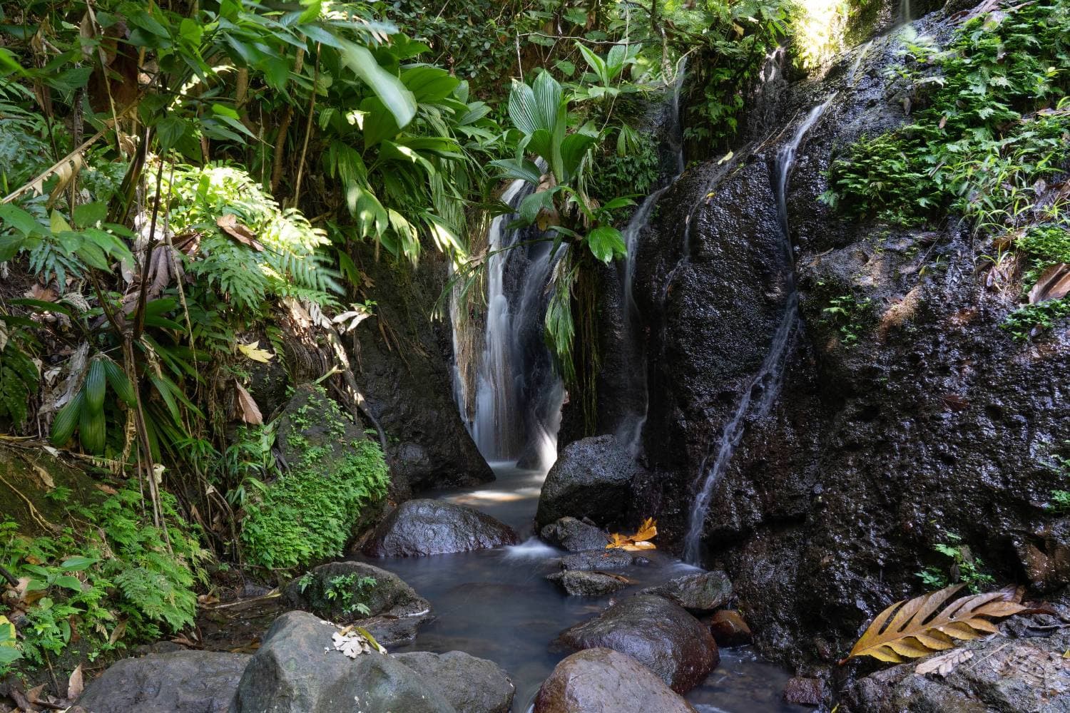 Basse-Terre