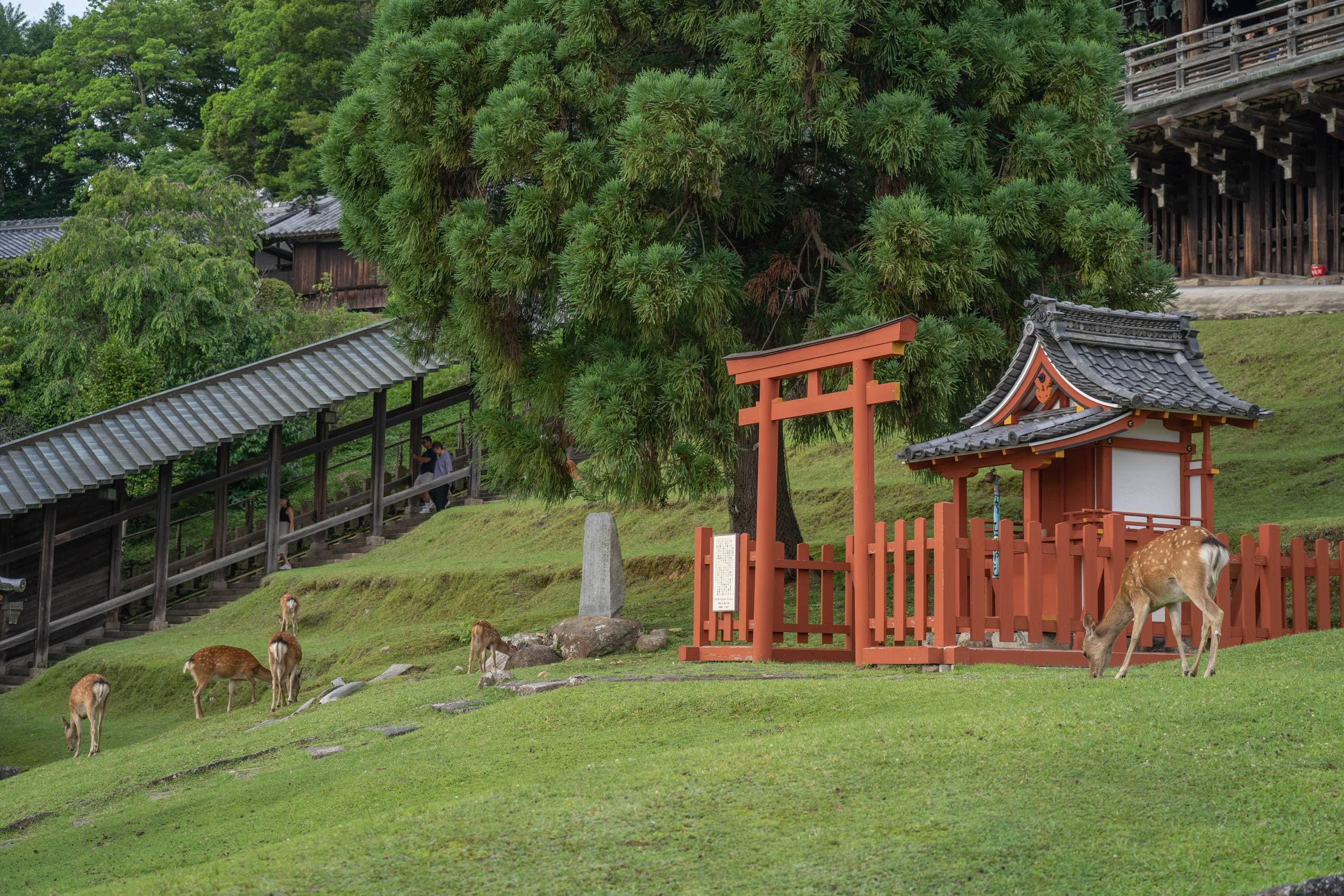 Nara
