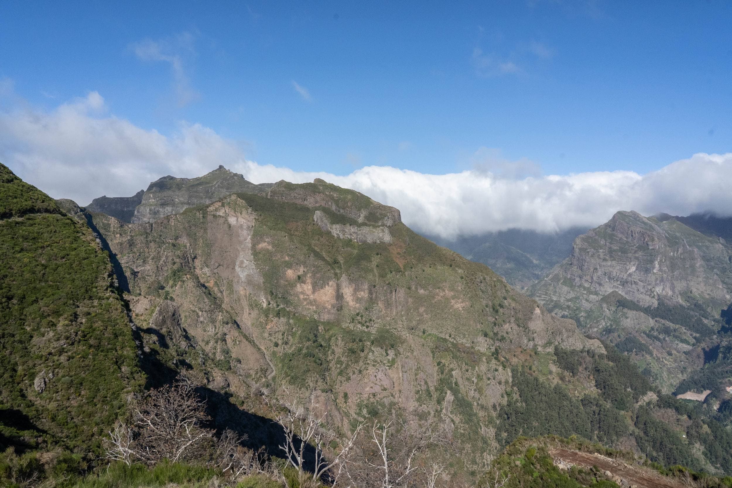 Pico Grande