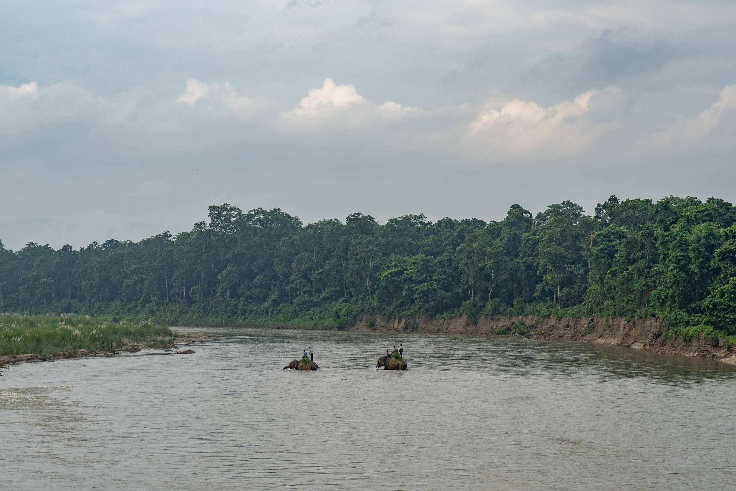 Parc de Chitwan