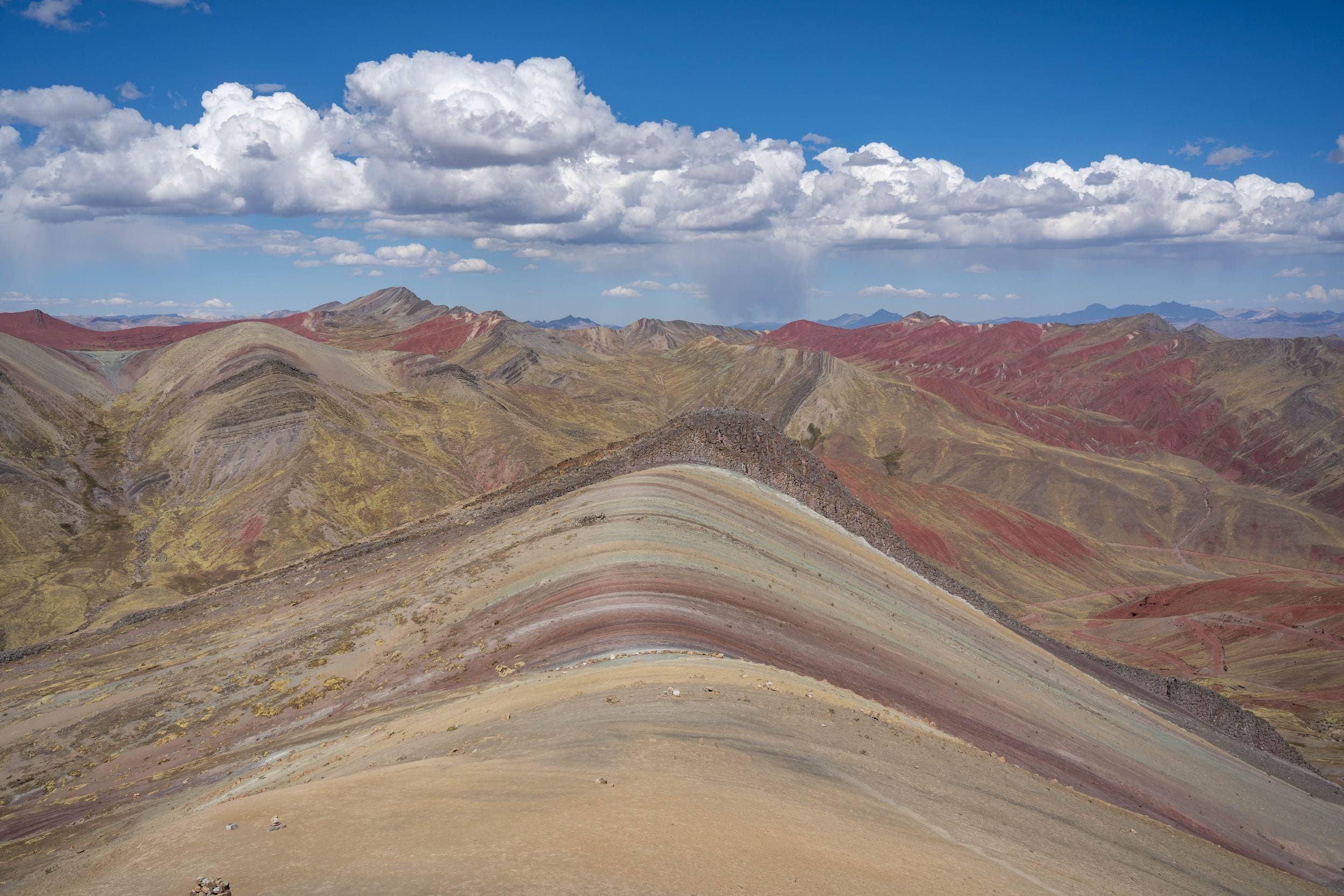 Palcoyo